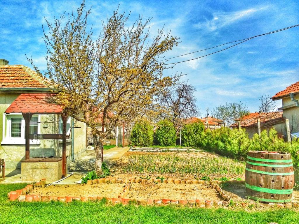 Guest House Dimi photo 3