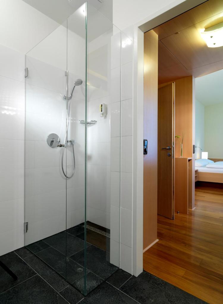 Двухместный (Представительский двухместный номер с 1 кроватью), Hotel Zipser