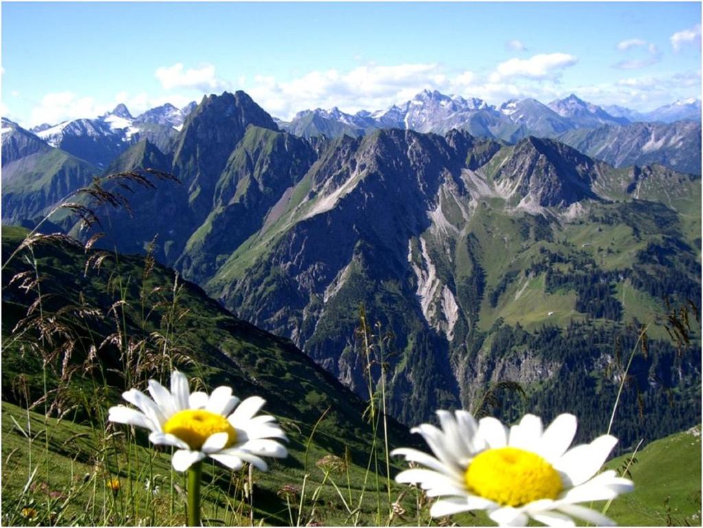 Alp-Chalet photo 1