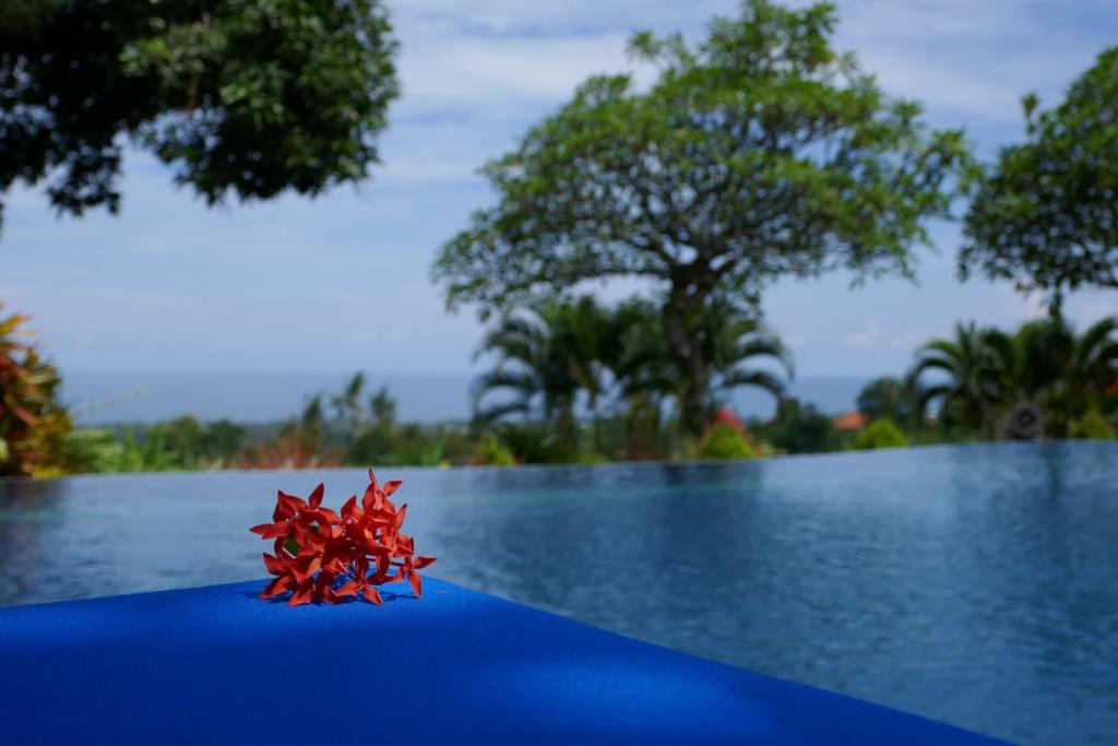 Puri Mangga Sea View Resort and Spa photo 1
