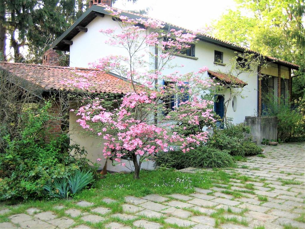 Villa with private pool and garden photo 1