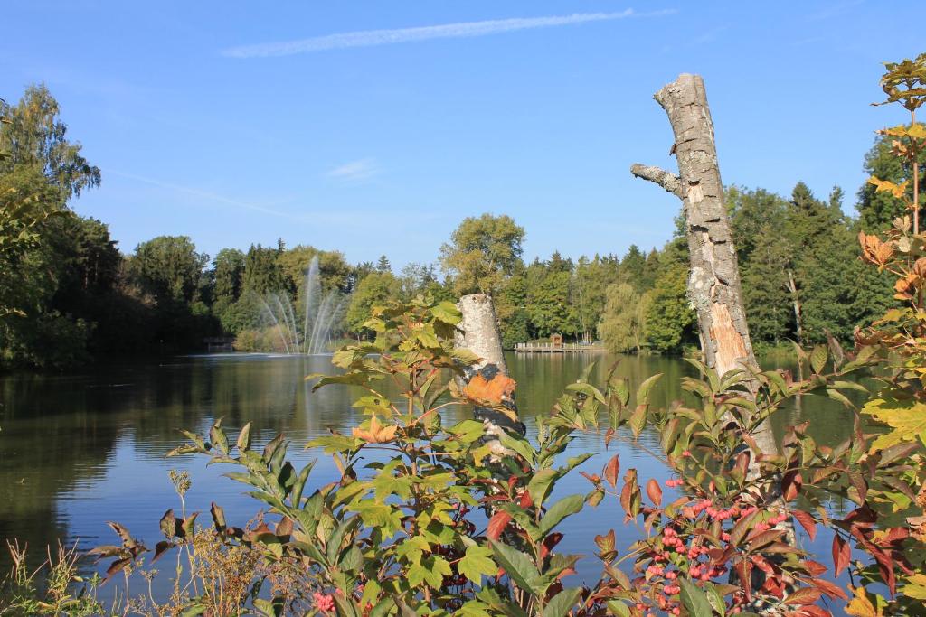 Hotel Salinensee photo 2