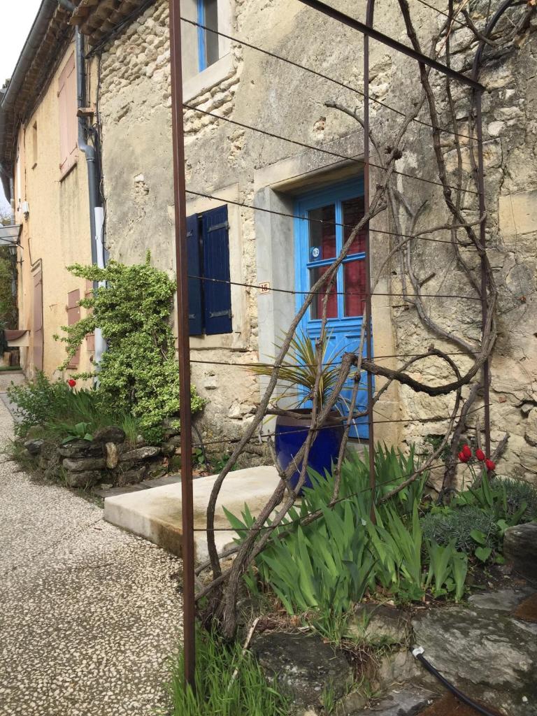 La Salamandre Bleue photo 4