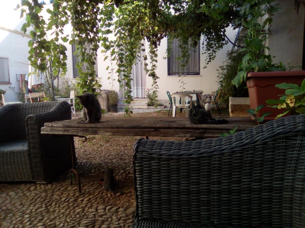 Agriturismo Castelluzzo Organic Farm photo 3