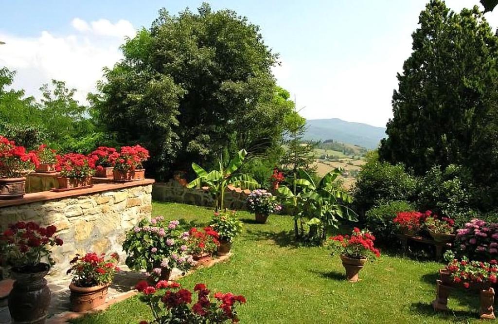 Casa Corella photo 4