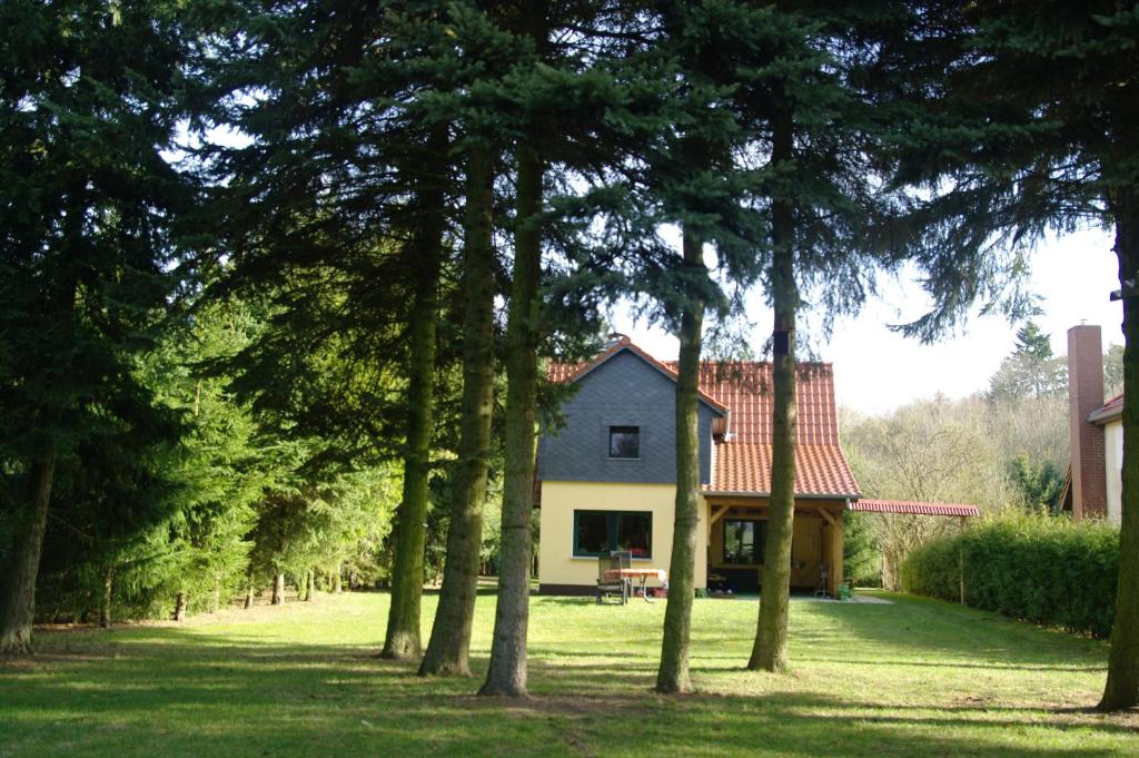 Mirow-Lärz- Ruhe Pur- Wald&See - Sauna-Haus mit Grundstück photo 1