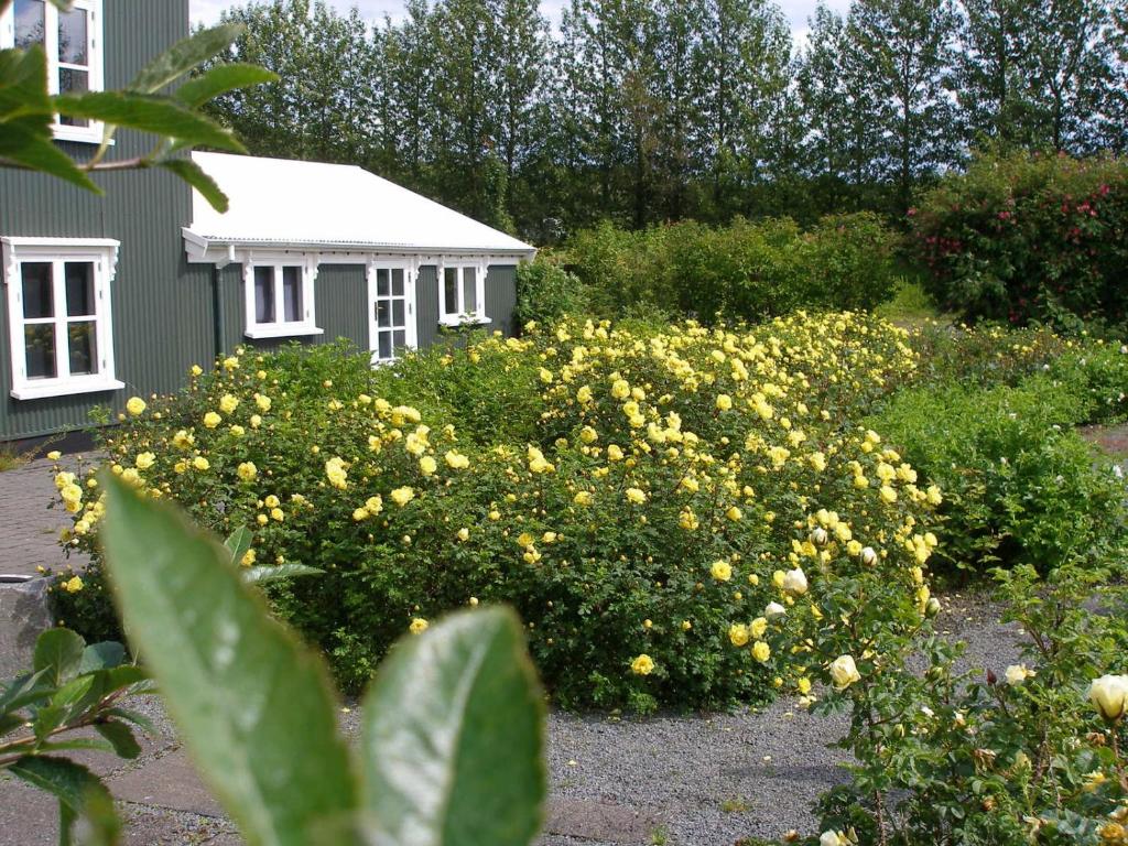 Ásaskóli photo 4