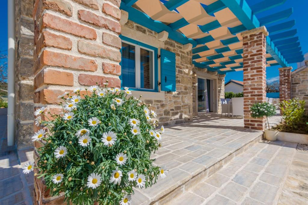 Villa Đelozija photo 3