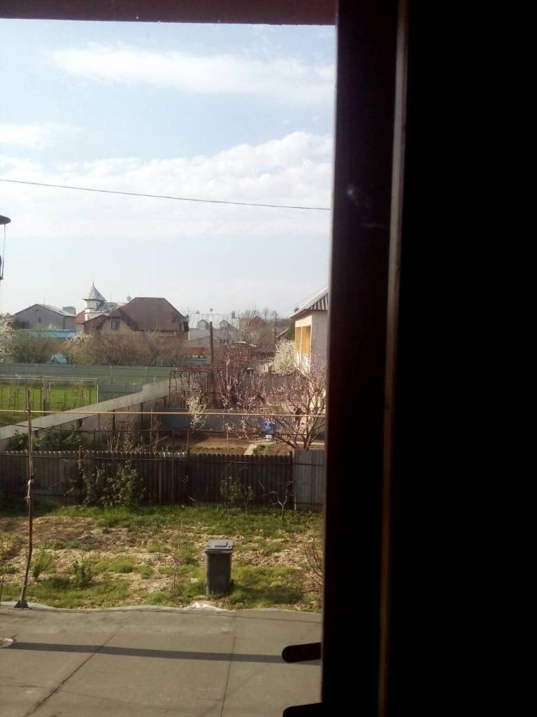 Domashnya Saduba photo 3