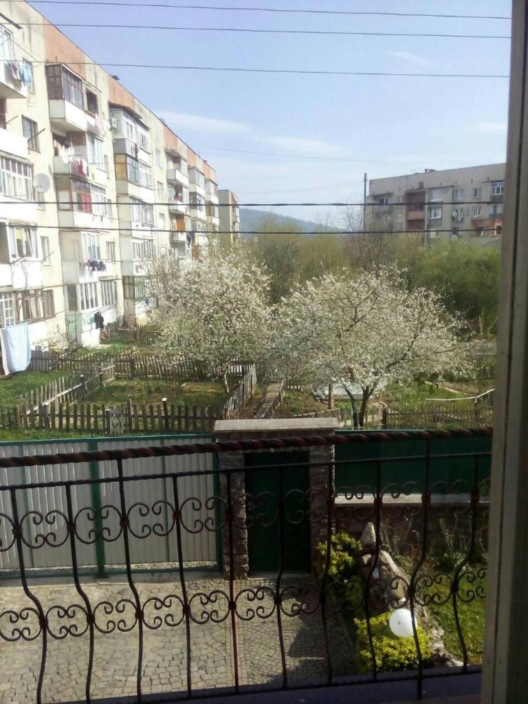 Domashnya Saduba photo 2