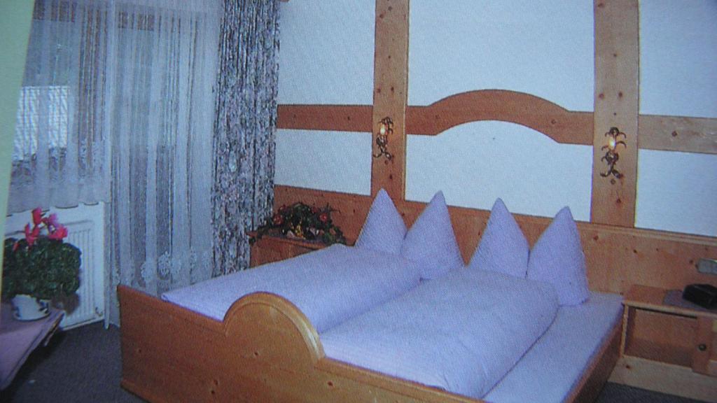 Haus Pinnistor photo 3