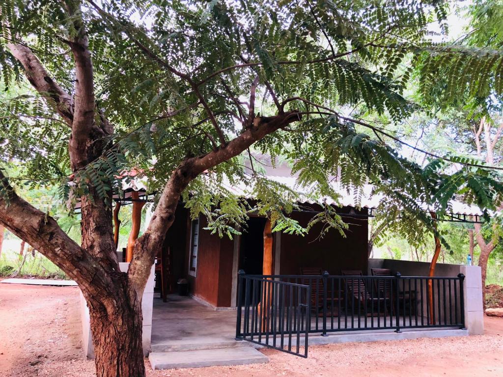 The Summer Corridor - Kataragama photo 3