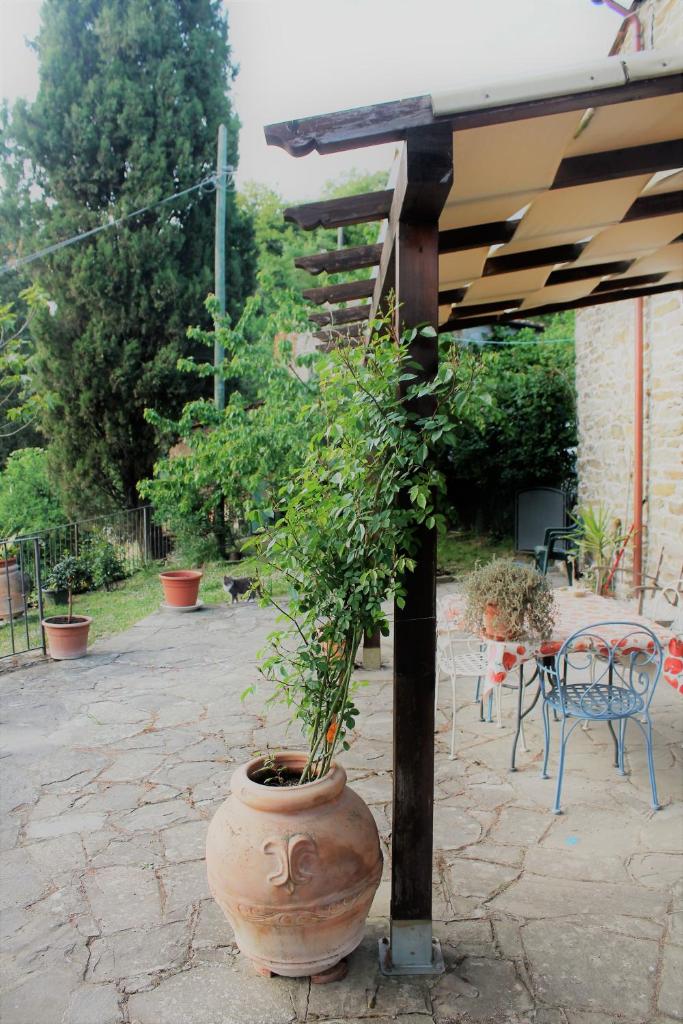 Casa Manu photo 4