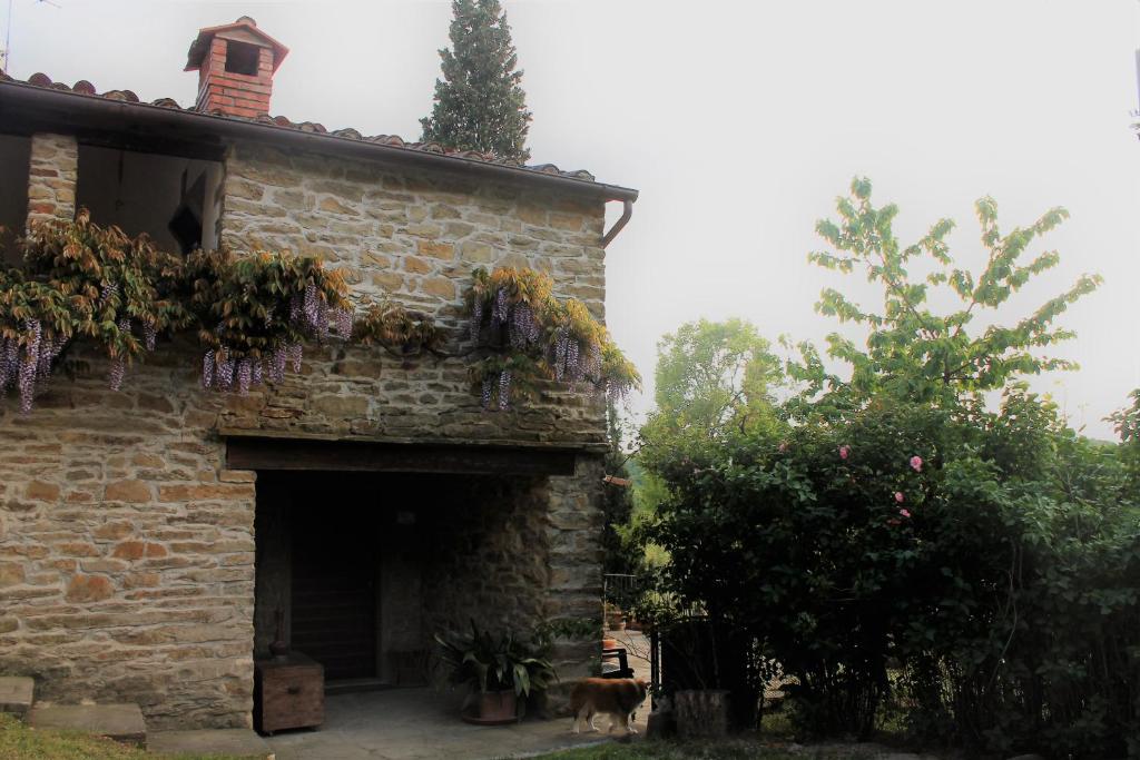 Casa Manu photo 2