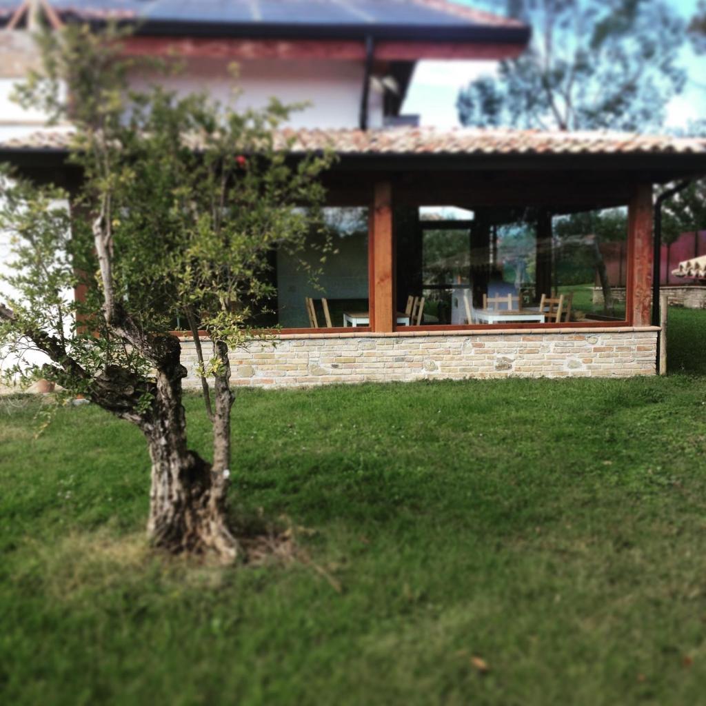 B&B Cuor Di Lavanda photo 3