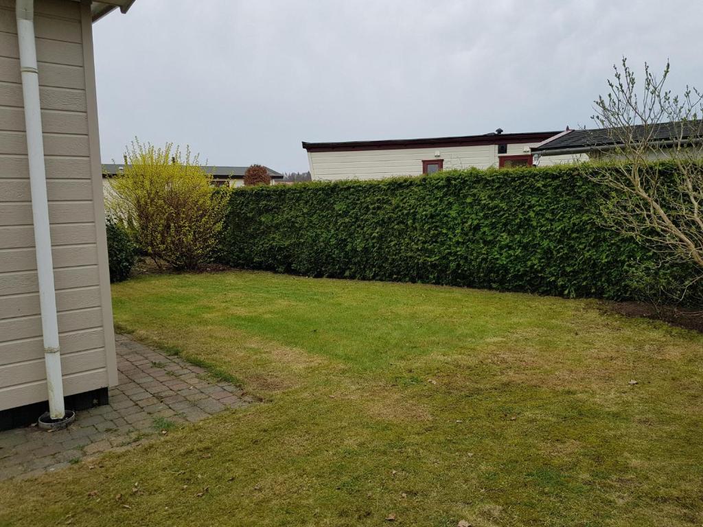 Chalet Drenthe photo 2