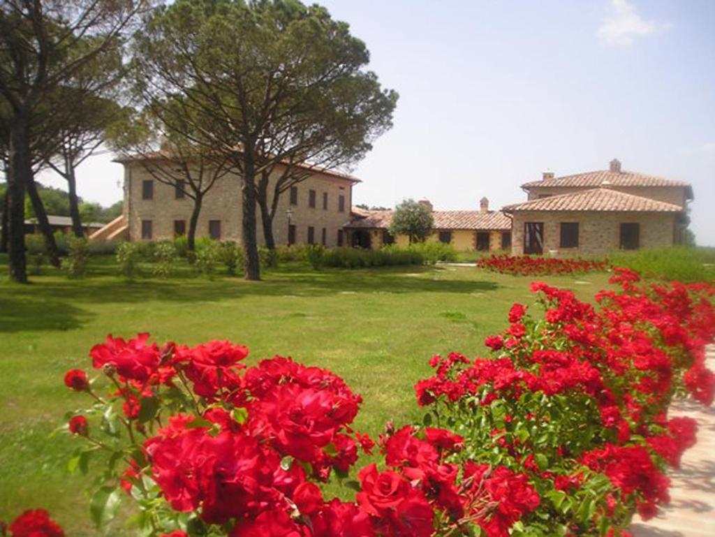 Principe Del Trasimeno photo 1