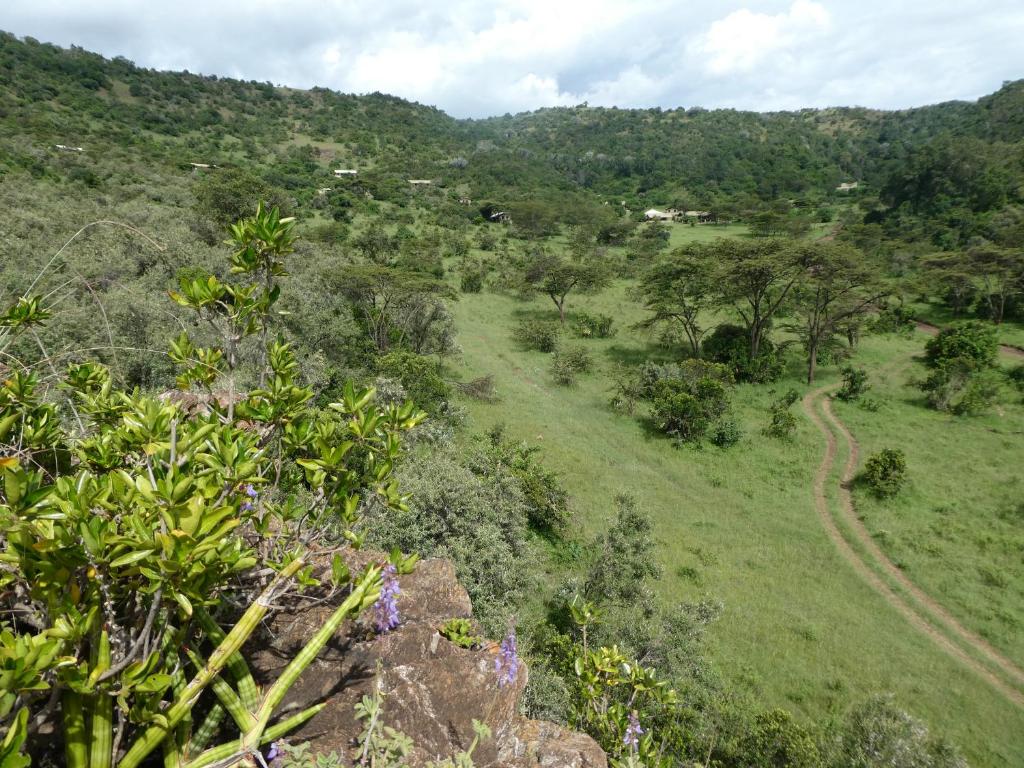 Entumoto Toto Camp photo 1