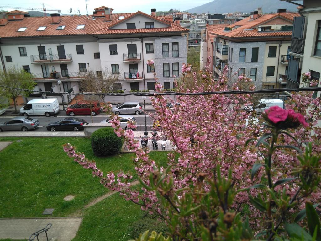 Apartamento Zurbarán photo 2