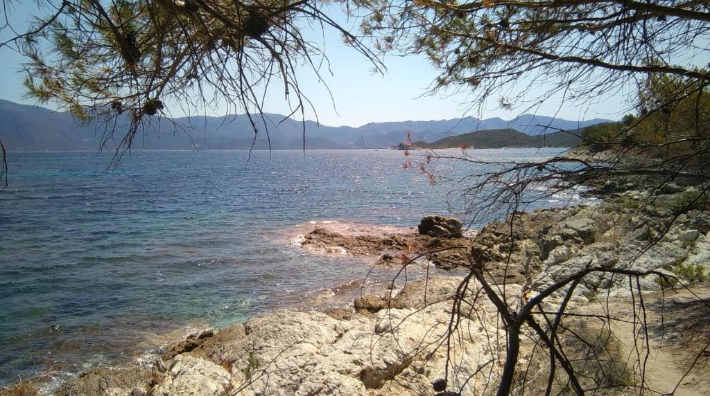 Relais de Saleccia photo 4