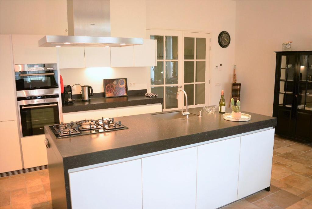 DAC50 Luxurious apartment Domburg photo 4