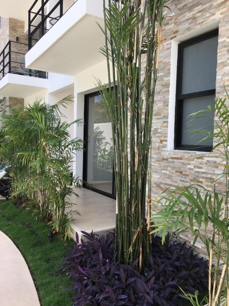 Апартаменты (Апартаменты с террасой), Yaax Kiin Tulum