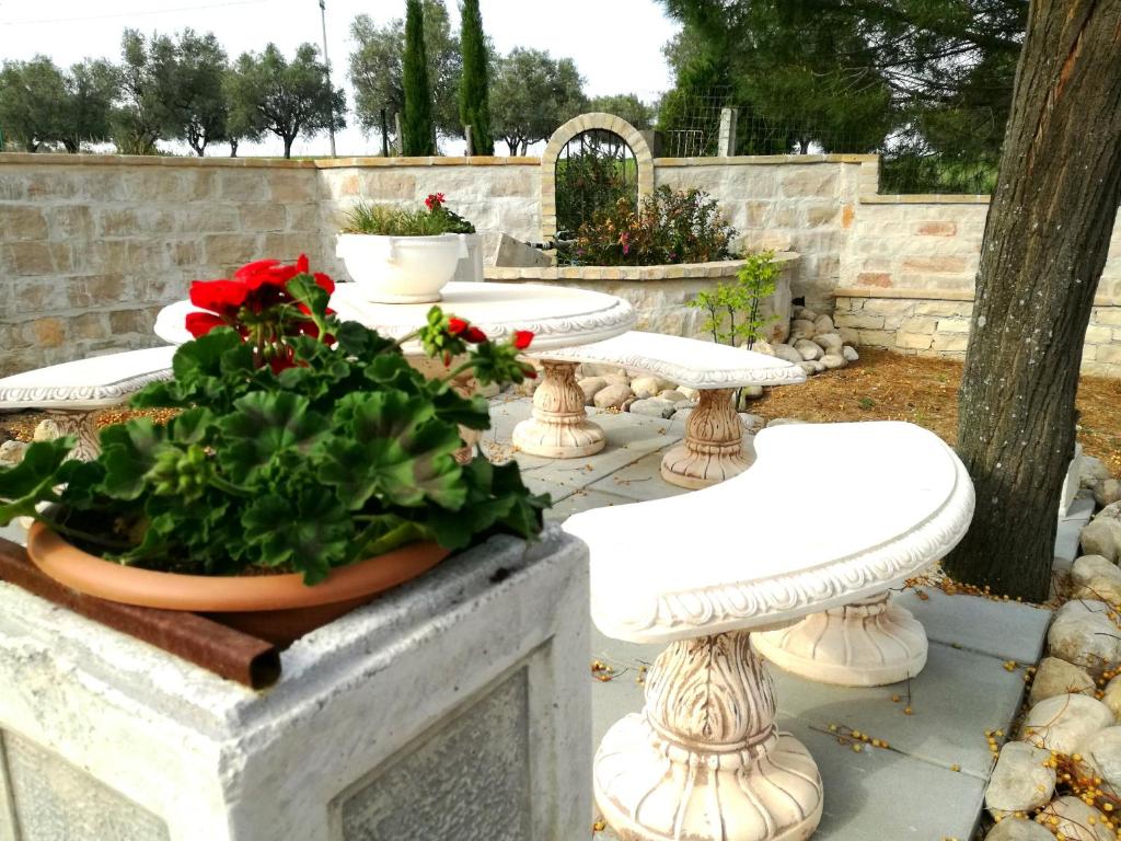 Albadido photo 2