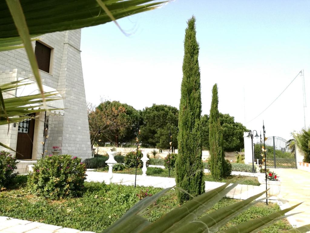 Albadido photo 4