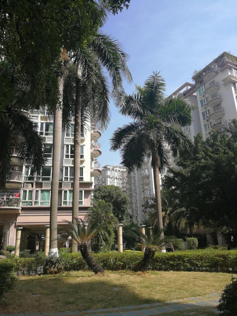 Shenzhen New Swan Castle Hotel photo 4