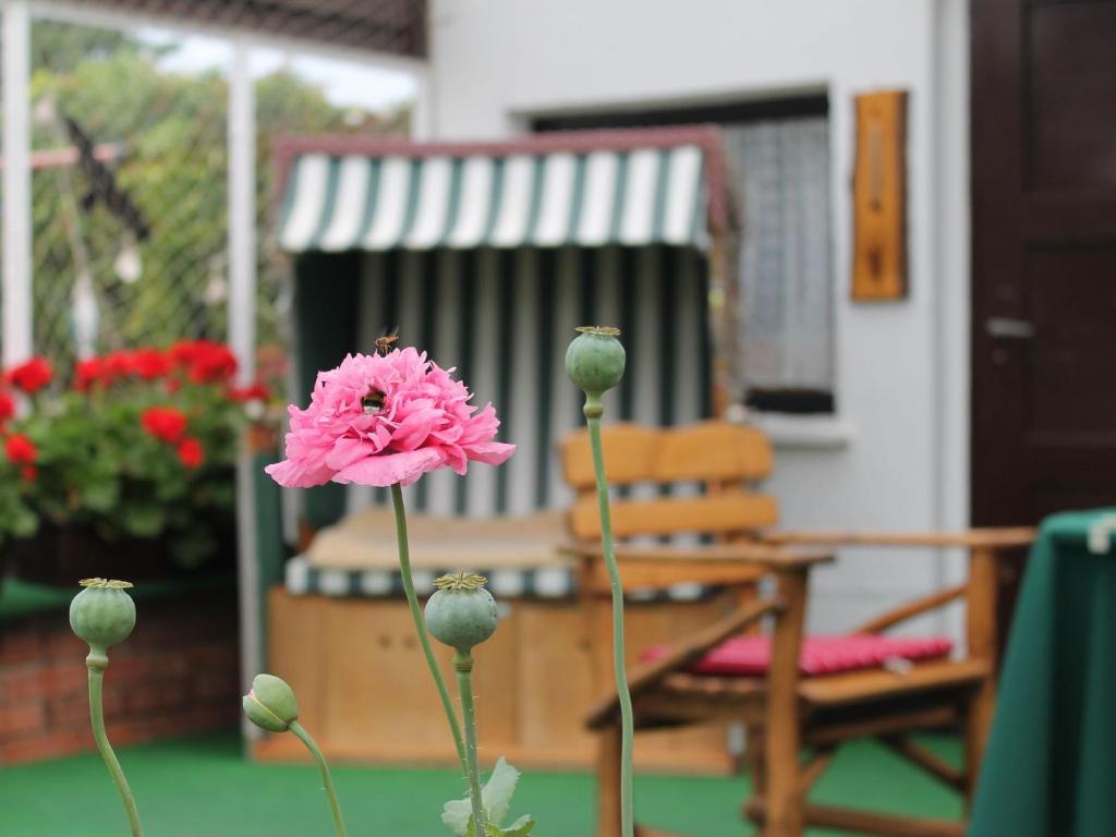 Charming Apartment in Rerik with Fenced Garden photo 1