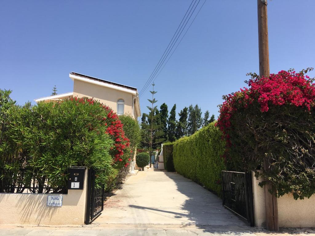 Villa Anthiana photo 3