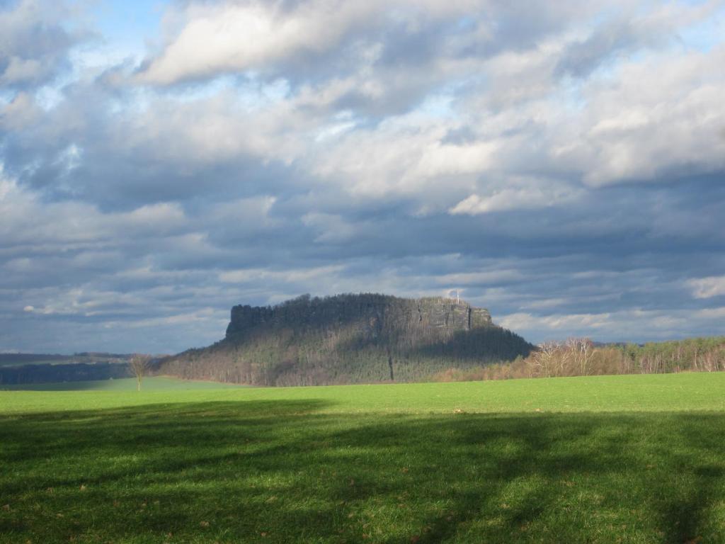 FEWO natuerlich-wolf photo 1