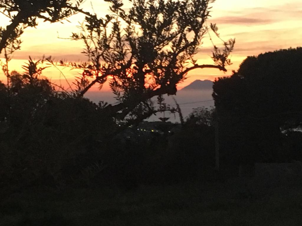 Agriturismo Seaview photo 1