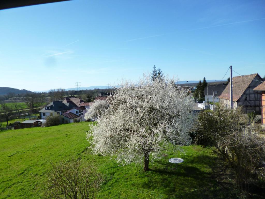 Albrecht guest apartement photo 3