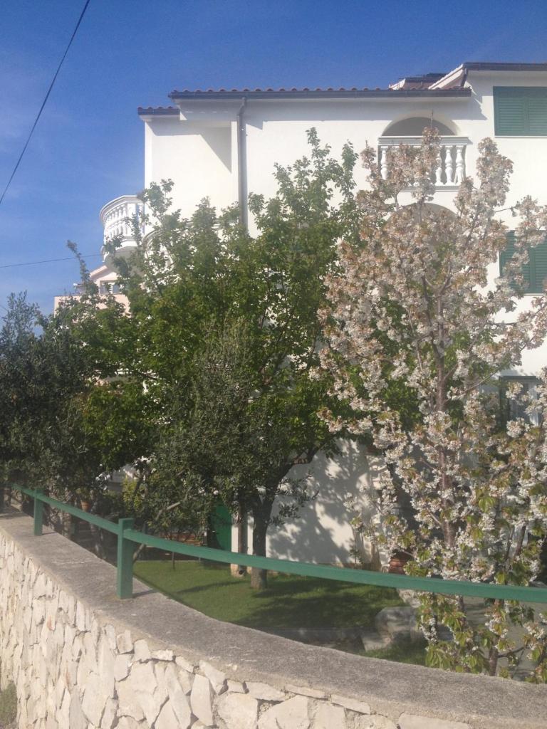 Apartmani Vukičević photo 4