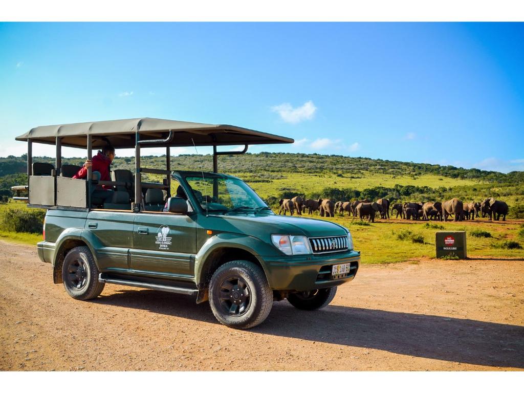 River Rooms - Chilled and Relaxed - Colchester - 5km from Elephant Park photo 4
