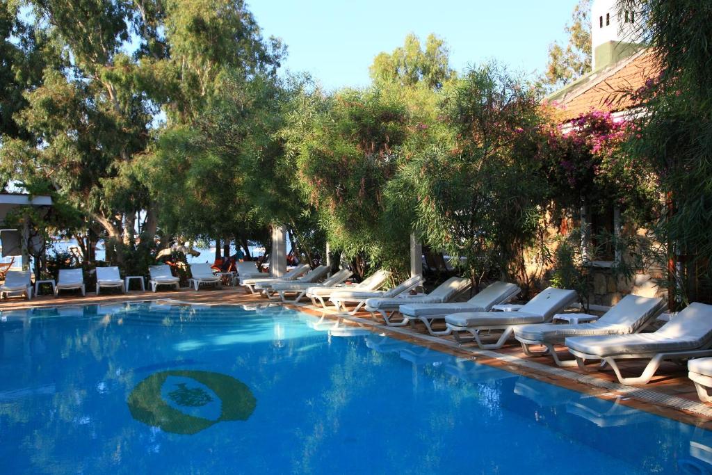 Okaliptus Hotel photo 2
