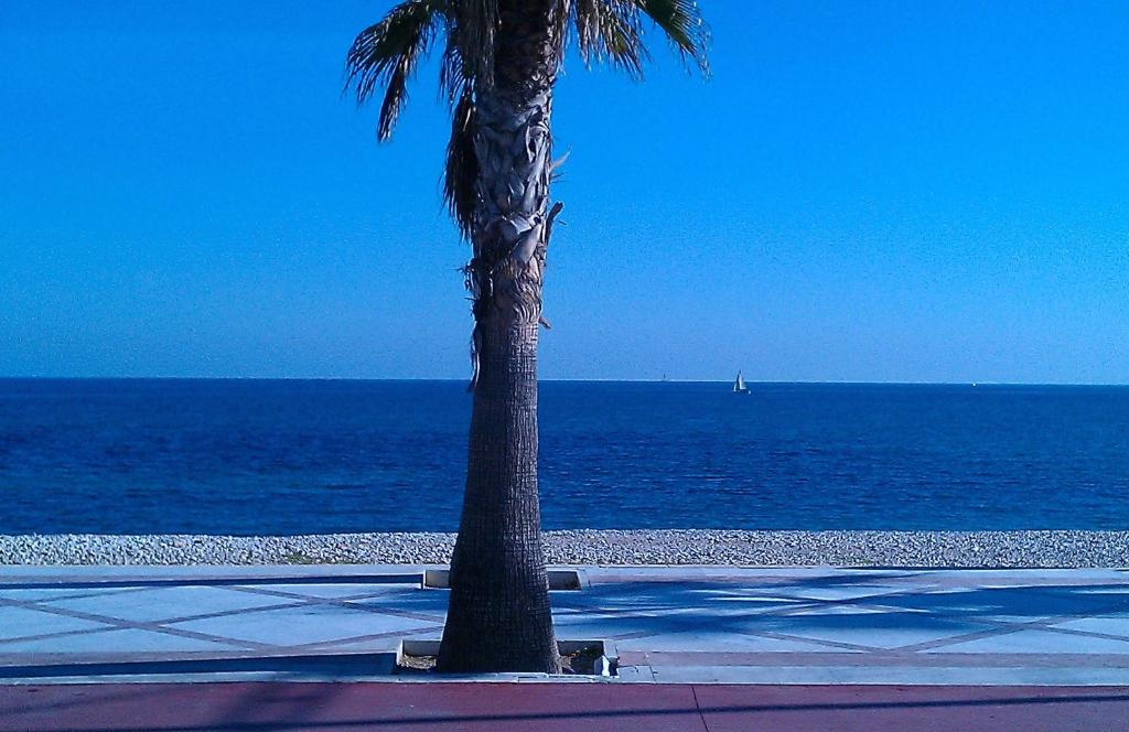 Villa Petit photo 4
