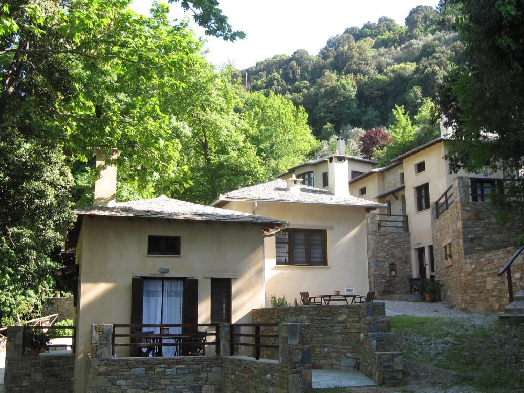 Vergopoulos Oliveyard photo 2