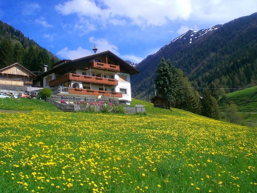 Alpegger photo 3
