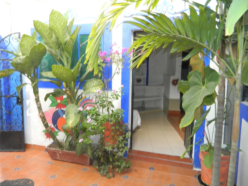 Posada Joan Sebastian photo 3