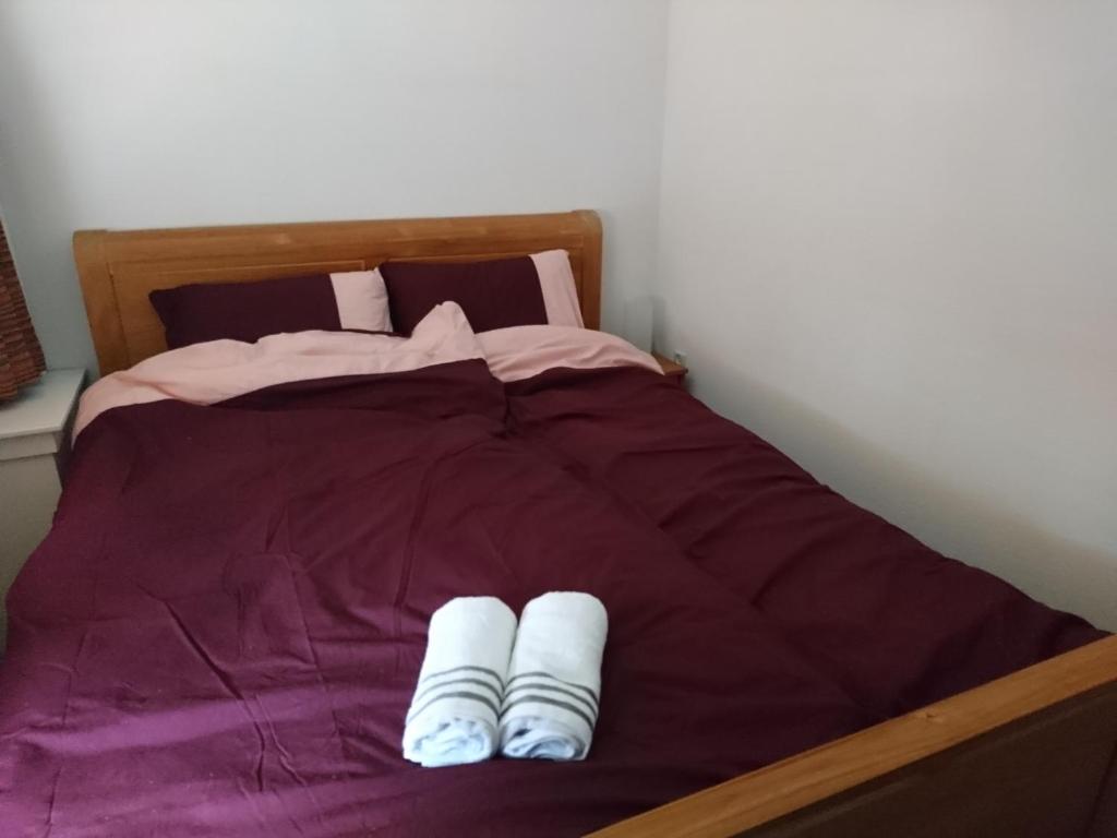 Hiltje - Nice to stay photo 4