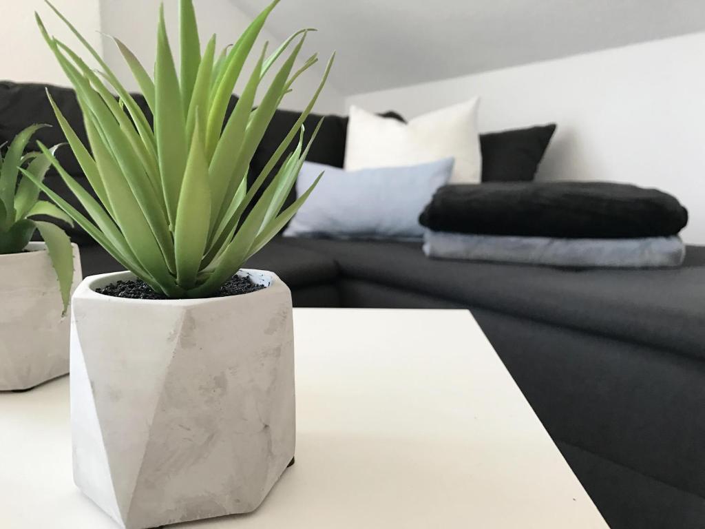 Zollernalb-Apartment photo 4