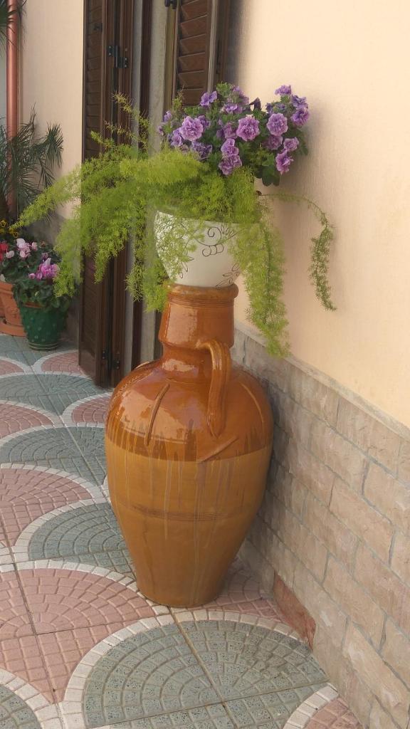 Corteré Guest House photo 3