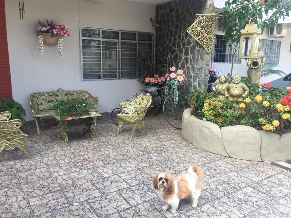 Pousada Castelinho photo 1