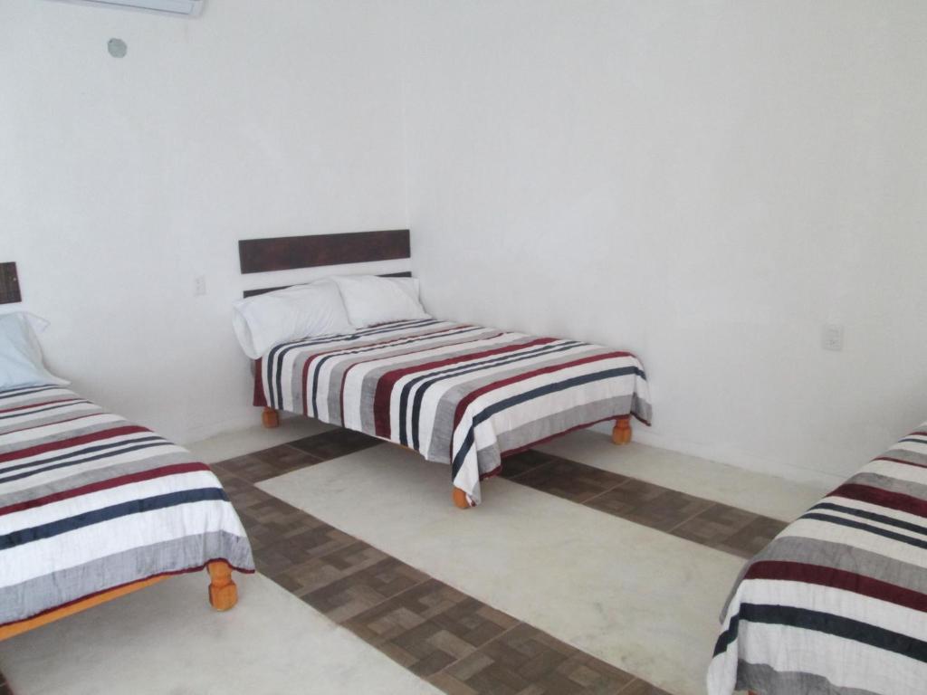 Hotel Pedregal photo 4