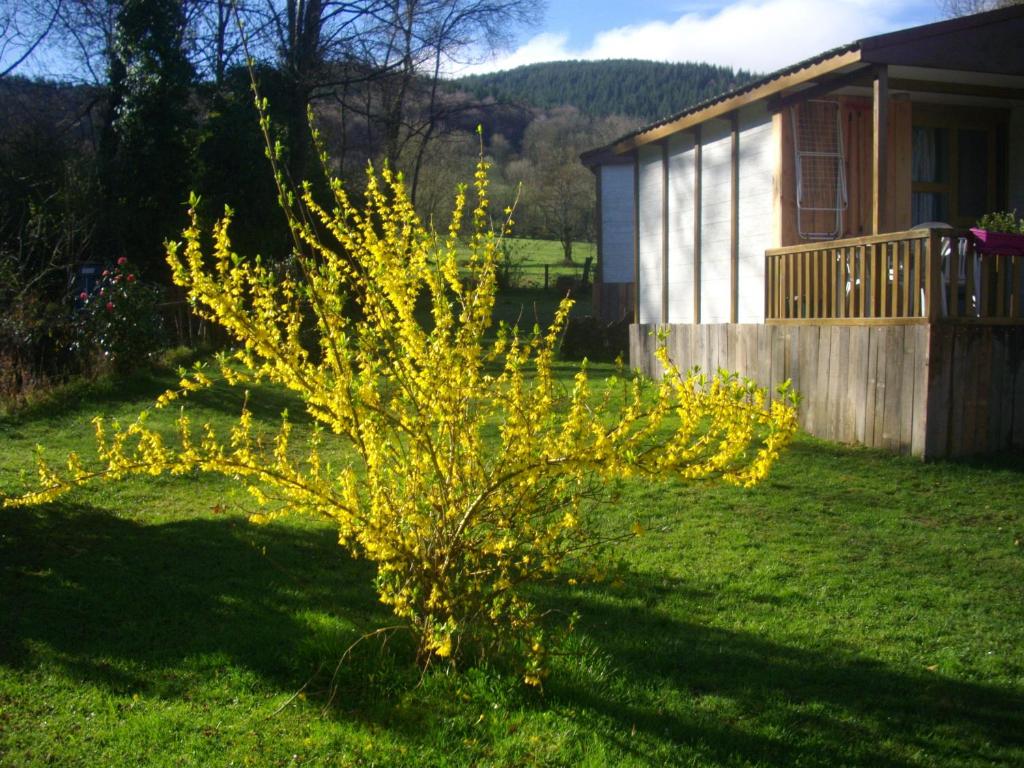 Les chalets d'Alzen photo 4