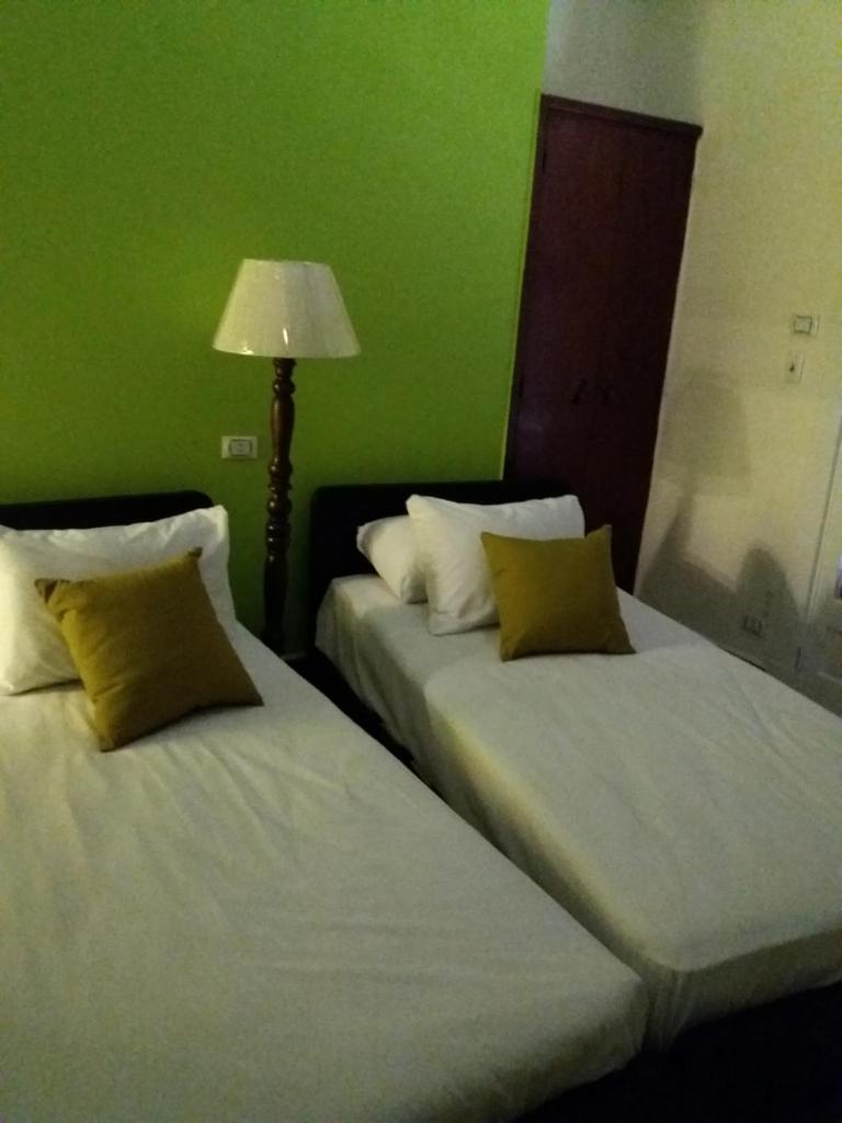 Двухместный (Двухместный номер с 1 кроватью и общей ванной комнатой), Garden View Hostel
