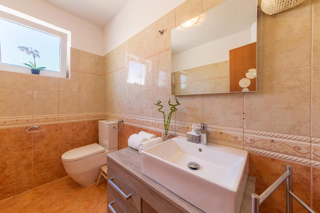 Apartment Vivis photo 3