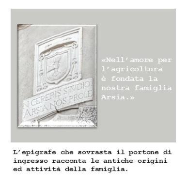 Domus Arsia photo 3